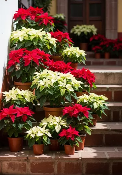 Imagen PNG para descargar